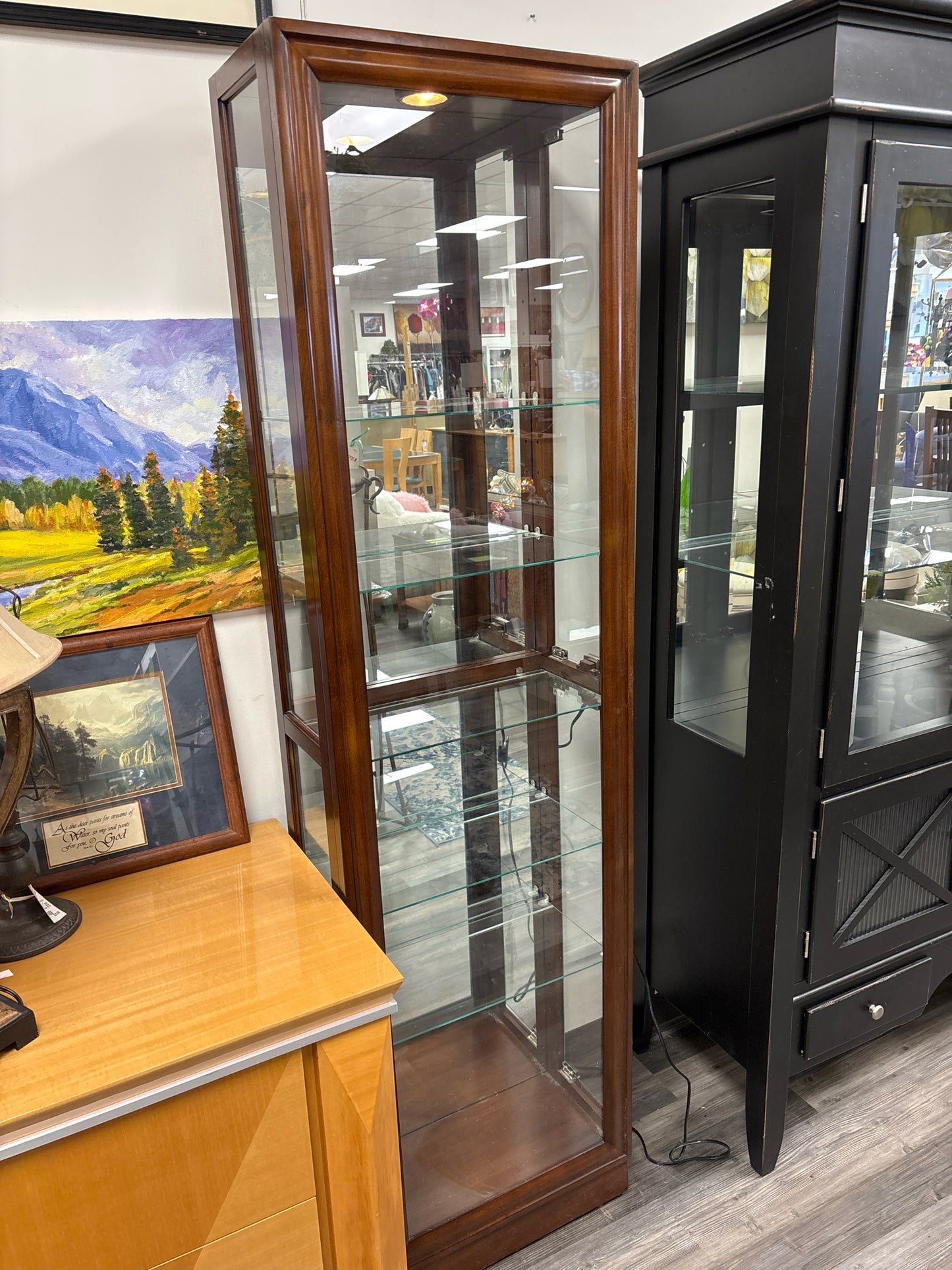 DISPLAY CABINET