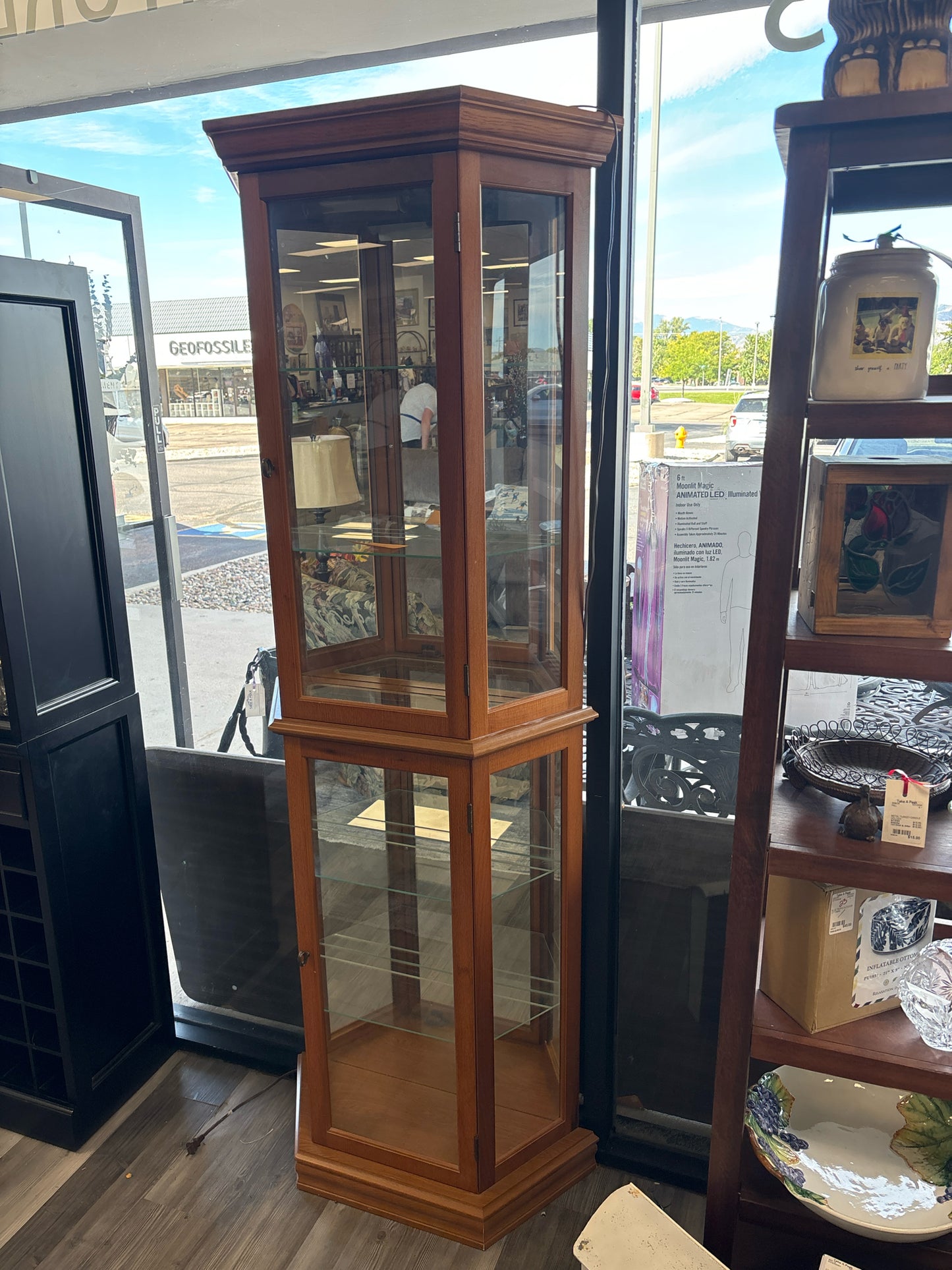 DISPLAY CABINET