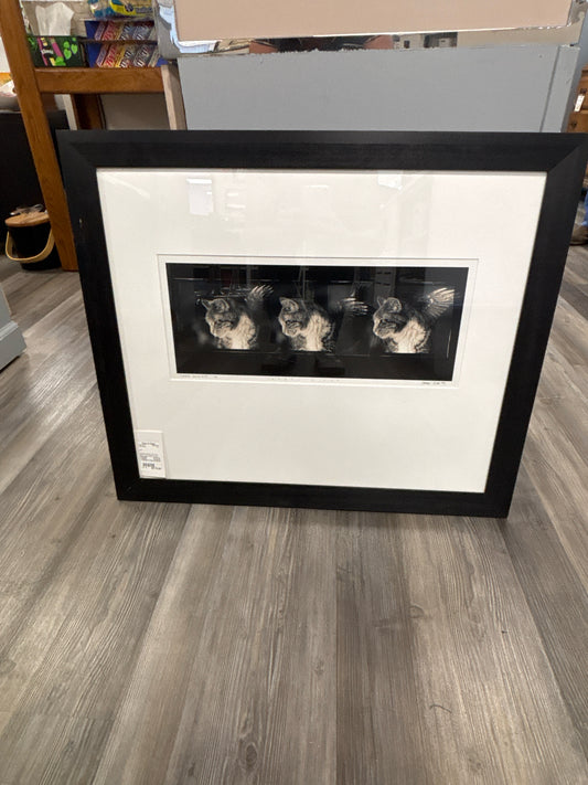 PICTURES